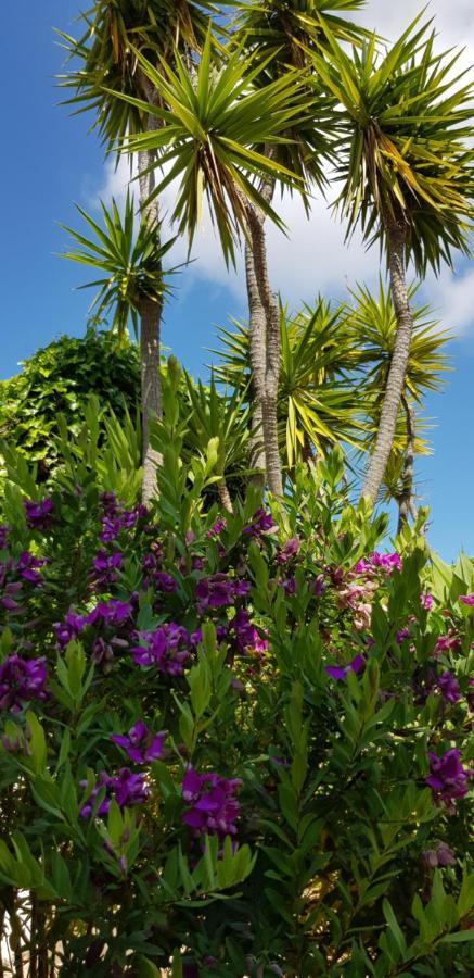 Villa Quinta Da Violeta 롤레 외부 사진