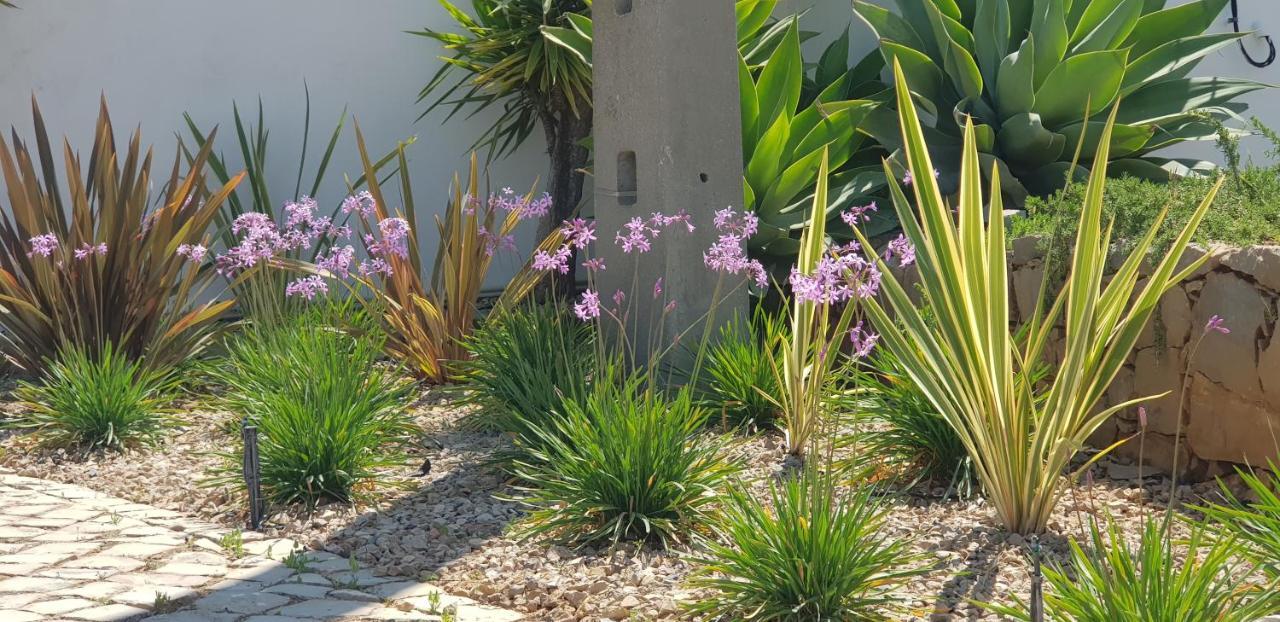 Villa Quinta Da Violeta 롤레 외부 사진